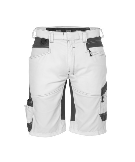 Dassy Axis Painters Short met Stretch
