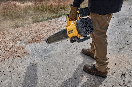 DeWalt 18V XR Axiale Bladblazer
