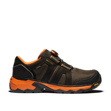 Solid Gear Tigris GTX AG Boa Cordura Werkschoenen Low S3